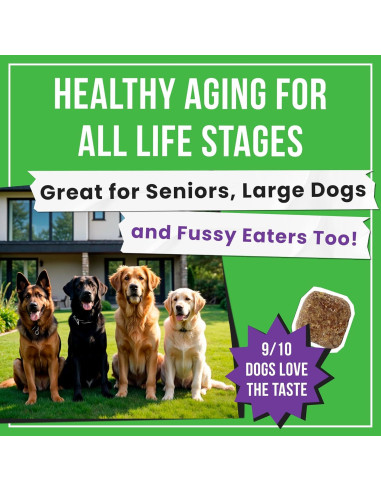 Golosinas para Perros Pawsential - Glucosamina 120 Unidades