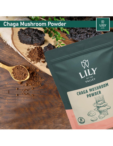 Polvo de Hongo Chaga LIRIO DEL VALLE 226g - Superalimento Vegano