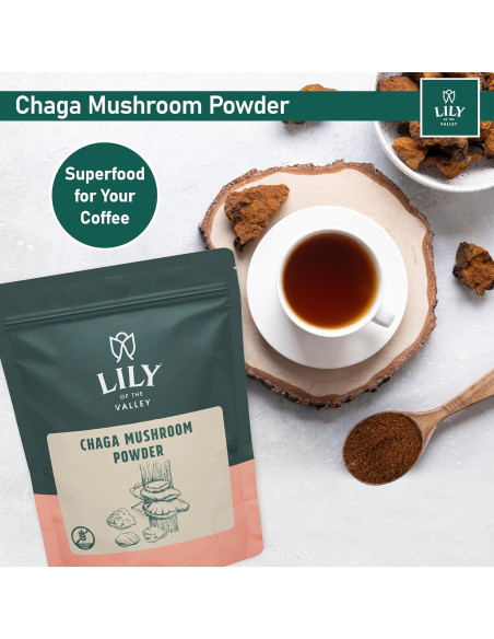 Polvo de Hongo Chaga LIRIO DEL VALLE 226g - Superalimento Vegano
