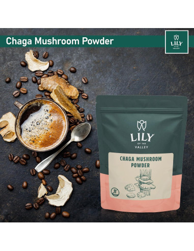 Polvo de Hongo Chaga LIRIO DEL VALLE 226g - Superalimento Vegano