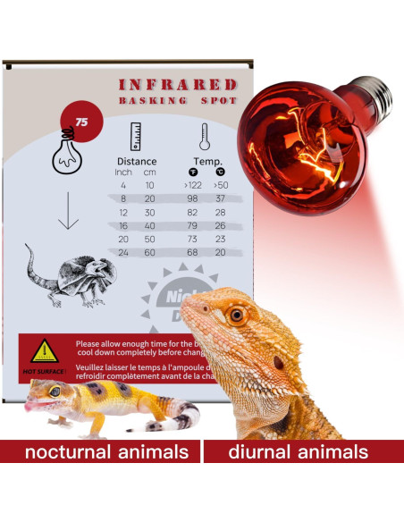 Lámpara de Calor Roja ReptiKing 75W Paquete de 2 Bombillas