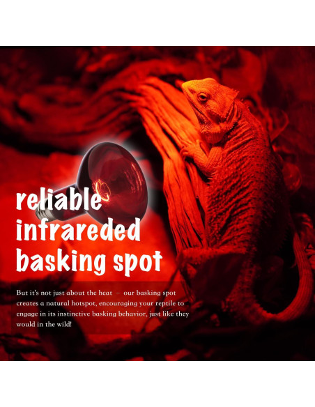 Lámpara de Calor Roja ReptiKing 75W Paquete de 2 Bombillas