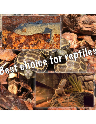 Lámpara de Calor Roja ReptiKing 75W Paquete de 2 Bombillas