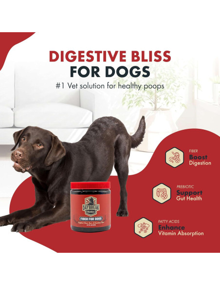 Fibra para Perros Nutrición Daybreak 170g - Psyllium y Prebióticos