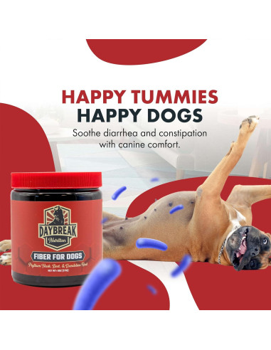 Fibra para Perros Nutrición Daybreak 170g - Psyllium y Prebióticos