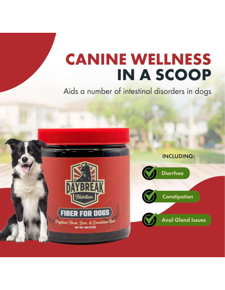 Fibra para Perros Nutrición Daybreak 170g - Psyllium y Prebióticos