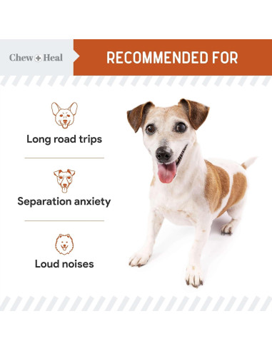 Masticables Calmantes para Perros Chew + Heal - 30 Unidades