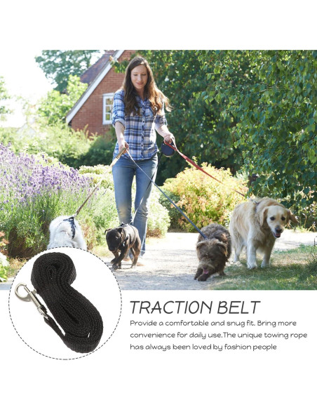 Arnés de Halloween para Conejos Ipetboom con Alas y Correa