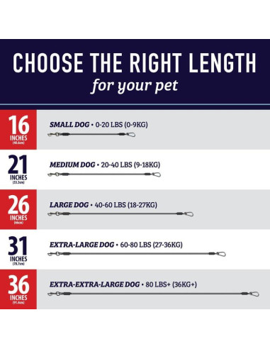 Correa de Seguridad para Mascotas Leash Boss 40.64 cm Negra