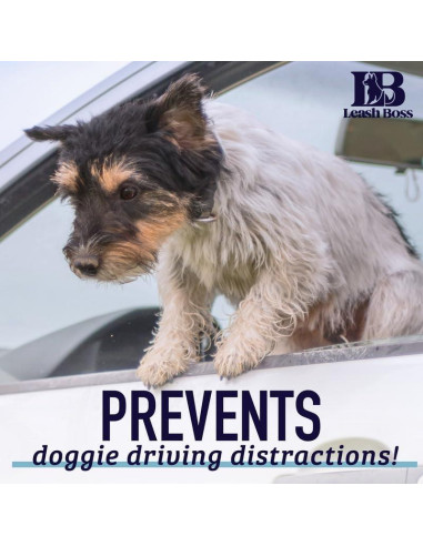 Correa de Seguridad para Mascotas Leash Boss 40.64 cm Negra