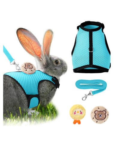 Conjunto Arnés y Correa para Conejos Bunnycool Azul Claro