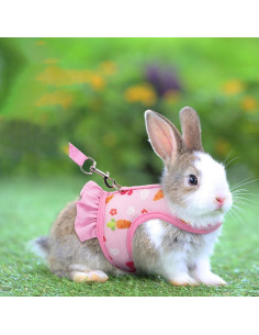 Conjunto Arnés Correa Sombrero Noppiku para Animales Pequeños 2