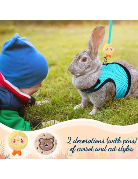 Conjunto Arnés y Correa para Conejos Bunnycool Azul Claro