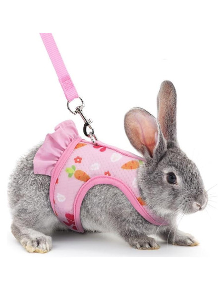 Conjunto Arnés Correa Sombrero Noppiku para Animales Pequeños