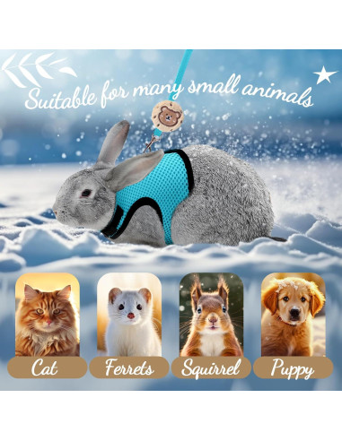 Conjunto Arnés y Correa para Conejos Bunnycool Azul Claro