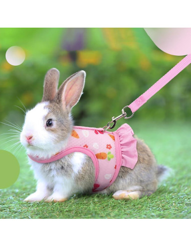 Conjunto Arnés Correa Sombrero Noppiku para Animales Pequeños