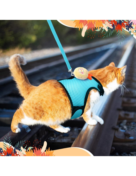 Conjunto Arnés y Correa para Conejos Bunnycool Azul Claro