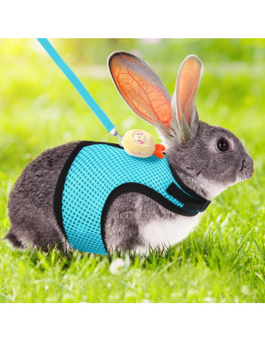 Conjunto Arnés y Correa para Conejos Bunnycool Azul Claro