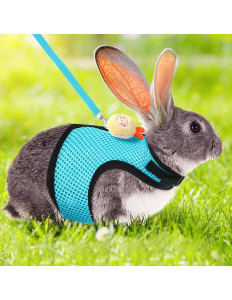Conjunto Arnés y Correa para Conejos Bunnycool Azul Claro