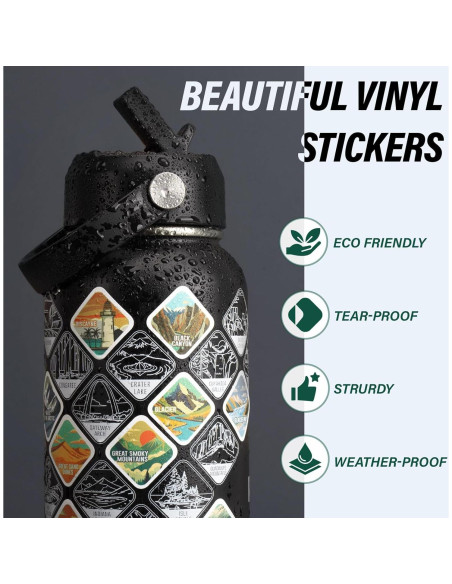 Botella de Agua DYSANKY 32 oz Acero Inoxidable Aislada