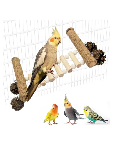Escalera para Aves Jevnd con Juguetes de Piña 14x9x15.5cm