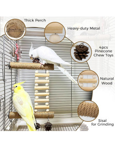 Escalera para Aves Jevnd con Juguetes de Piña 14x9x15.5cm 2