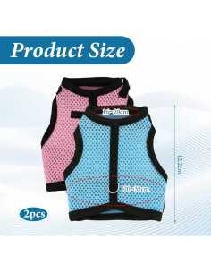 Conjunto Arnés y Correa Ajustable para Conejos Xorim L 2