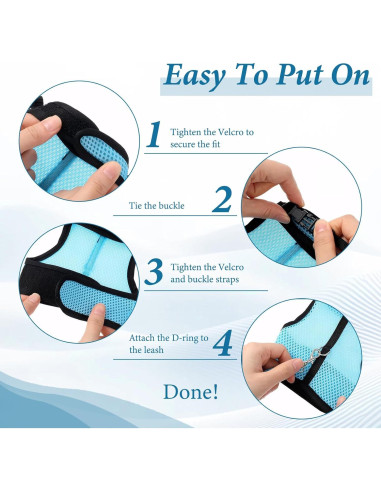 Conjunto Arnés y Correa Ajustable para Conejos Xorim L