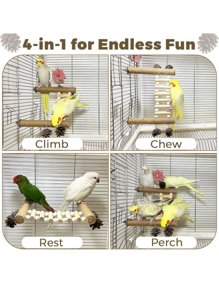 Escalera para Aves Jevnd con Juguetes de Piña 14x9x15.5cm