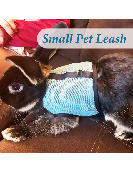 Conjunto Arnés y Correa Ajustable para Conejos Xorim L