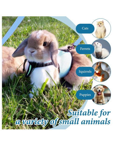 Conjunto Arnés y Correa Ajustable para Conejos Xorim L