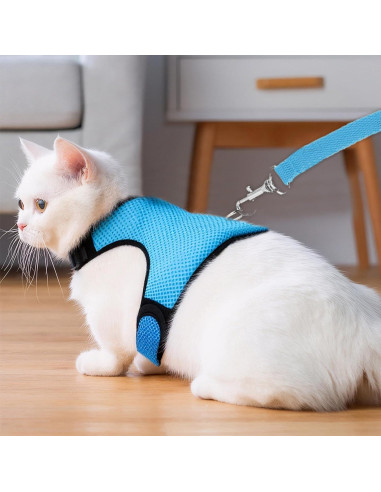 Conjunto Arnés y Correa Ajustable para Conejos Xorim L