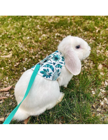 Arnés y Correa Ajustable WEWAYKGJ para Conejos Tamaño M