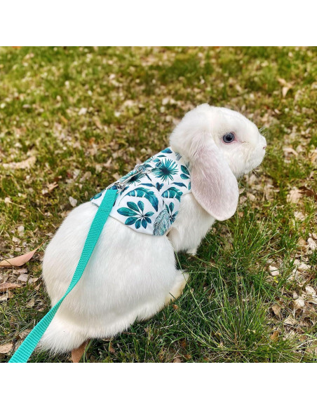 Arnés y Correa Ajustable WEWAYKGJ para Conejos Tamaño M