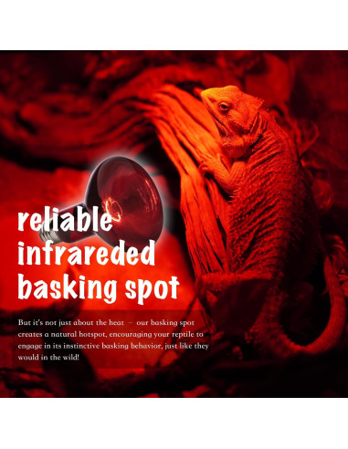 Lámpara de Calor para Reptiles ReptiKing 75W Paquete de 2