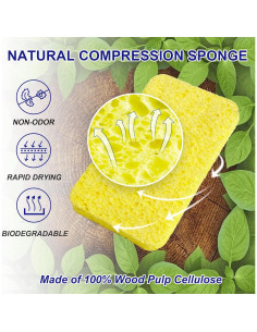 Esponjas de Cocina CELOX 12 Paquete Celulosa Amarillo 10.9x7.1cm 2