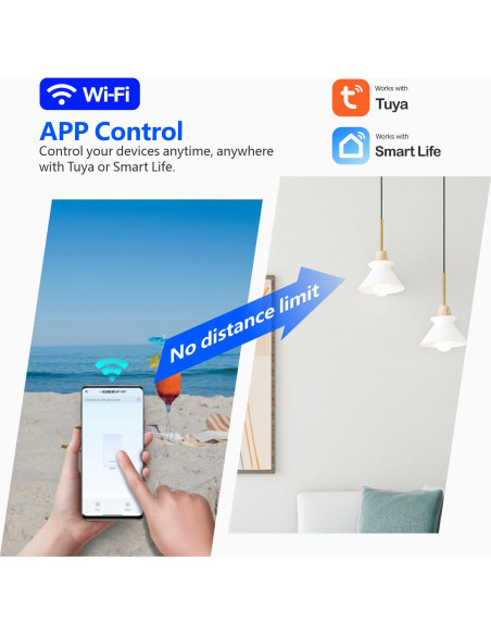 Interruptor Inteligente WiFi DieseRC TY-1CH 1 Canal con Control Remoto