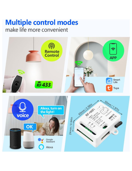 Interruptor Inteligente WiFi DieseRC TY-1CH 1 Canal con Control Remoto