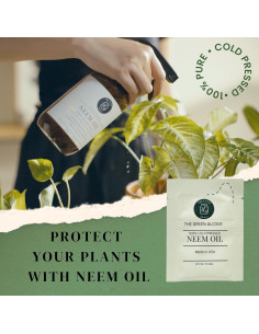 Recarga de Spray de Aceite de Neem 100% Puro - 5 Paquetes de 3.5 ml 2