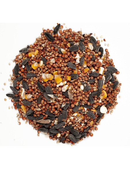 Alimento para Aves Silvestres Wagner's Delight 4.54 kg Cereza