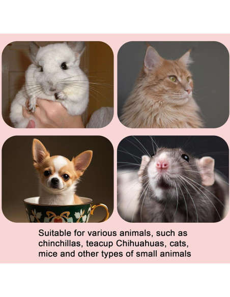 Conjunto Arnés y Correa BOXOB para Hurones y Mascotas Pequeñas