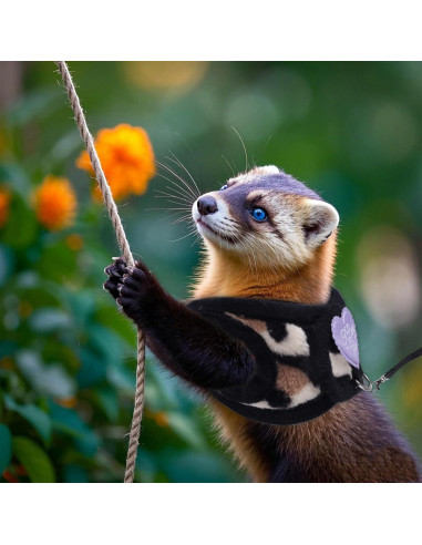 Conjunto Arnés y Correa BOXOB para Hurones y Mascotas Pequeñas