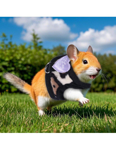 Conjunto Arnés y Correa BOXOB para Hurones y Mascotas Pequeñas