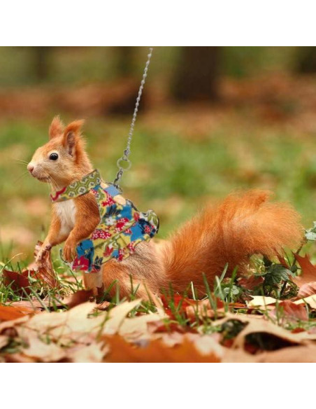 Arnés Ajustable para Animales Pequeños Careupet Floral 2m