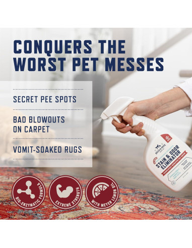 Rocco & Roxie Eliminador de Manchas y Olores 32 oz - Limón