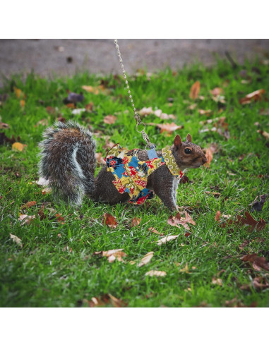 Arnés Ajustable para Animales Pequeños Careupet Floral 2m