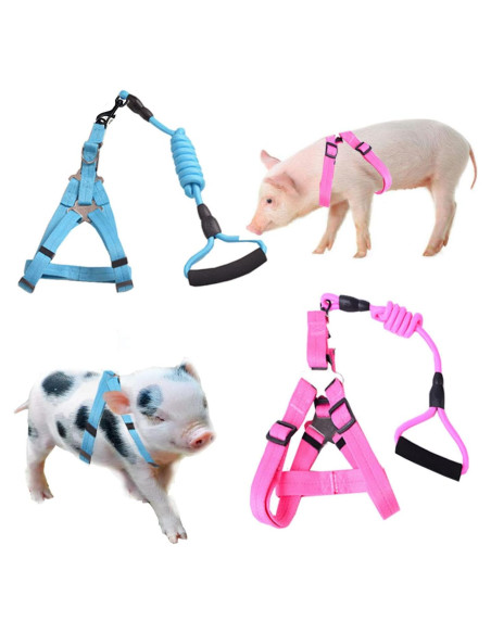 Arnés Ajustable para Cerdo Pequeño WoYous Rosa y Azul - 2 Piezas