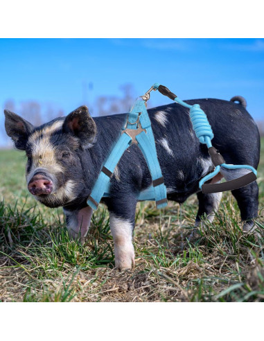 Arnés Ajustable para Cerdo Pequeño WoYous Rosa y Azul - 2 Piezas