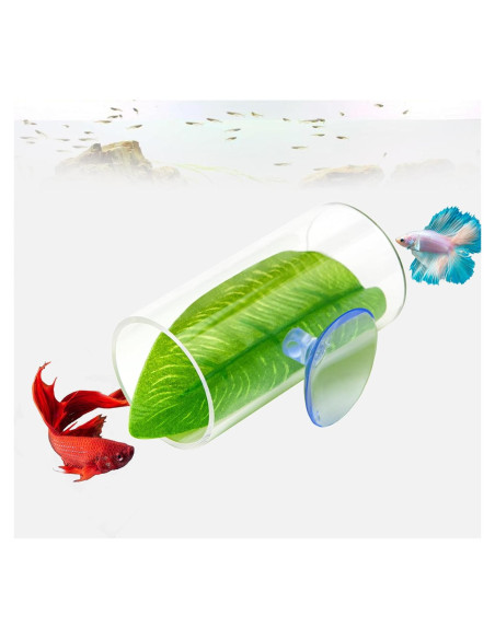 Túnel Acrílico para Peces Betta CousDUoBe 8cm con Almohadilla