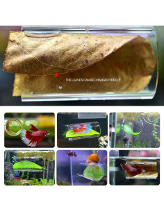 Túnel Acrílico para Peces Betta CousDUoBe 8cm con Almohadilla 2